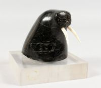 AN INUIT CARVED HARDSTONE GROUP OF A WALRUS HEAD, on a square onyx base. 3ins.