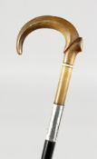 A VICTORIAN RHINO HANDLE WALKING STICK with engraved silver band. 30ins long.