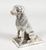 A SILVER MODEL OF A LABRADOR on a rectangular base. 6ins high.