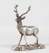A SILVER MODEL OF A STAG on a rectangular base. 5.5ins high.