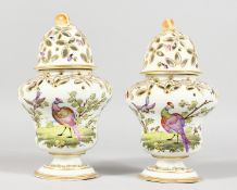 A PAIR OF CONTINENTAL PIERCED VASES AND COVERS painted with birds and insects. 7ins high.
