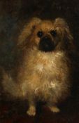 19th century French school, a study of a small dog, oil on canvas, indistinctly signed, 8.5