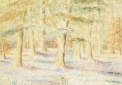 20th century school, a woodland scene with wildflowers, watercolour, indistinctly signed, 9
