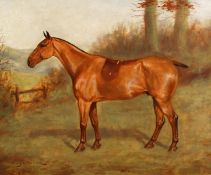 Charles E. Gatehouse (1866-1952) British, a horse in a landscape with hills beyond, oil on canvas,