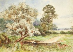 English school (19th/20th century) a scene of ducks in a pond with hills in the distance,