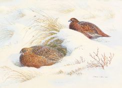 Donald Watson (1918-2005) British. 'Pair of Red Grouse Sheltering', Watercolour, Signed and Dated