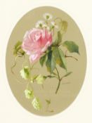 Maria Teresa Hegg (1829-1911) Swiss. A Still Life Study of a Rose, Watercolour and Bodycolour,