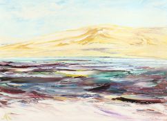 Mark Newman (20th Century). A Vibrant Coastal Scene with Hills beyond, Oil on Canvas, Signed and