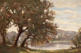 John Brown (B.1945) Scottish, a mountain lake scene through trees, oil on board, 10