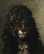 Lewis Dorey (1836-1914) French, a study of a dog, oil on canvas, signed, 18