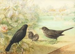 George Rankin (1864-1937) British. Blackbirds feeding in a Country Garden, Watercolour, Signed.