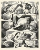 Monica Poole (1921-2003) British,' Shells and Fossils' woodblock print, signed and inscribed and