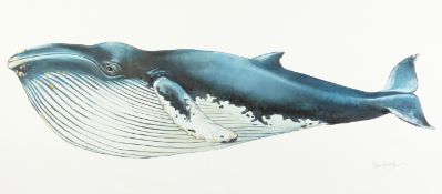 Peter Arnold 'Save the Humpback Whale', artist's proof, Lambda print on canvas, 31.5