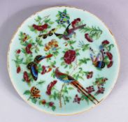 A 19TH CENTURY CHINESE CELADON FAMMILE ROSE PORCELAIN PLATE, decorated with peacocks and butterflies