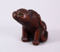 A GOOD JAPANESE MEIJI PERIOD CARVED WOOD NETSUKE OF A TIGER IN THE STYLE OF HAKURYA, the tiger in