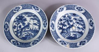 TWO CHINESE WANLI PERIOD BLUE & WHITE PORCELAIN SHIPWRECK PLATES - with peacock design, 27cm