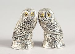 A PAIR OF .800 OWL SALT AND PEPPERS.
