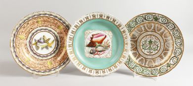 A CHAMBERLAIN WORCESTER PLATE finely painted with shells surrounded by a sea, green ground and neo-