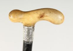 A 19TH CENTURY WALKING STICK with RHINO HANDLE and silver band. 36ins long.