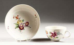 AN 18TH CENTURY DEN HAGG TEACUP AND SAUCER painted with flowers, stork mark in underglaze blue.
