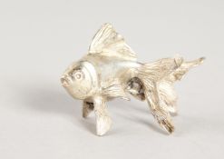 A MINIATURE SILVER FISH.