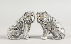 A PAIR OF .800 PUG DOG SALT AND PEPPERS.