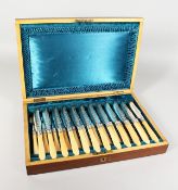 A GOOD CASED SET OF TWELVE FISH KNIVES AND FORKS.