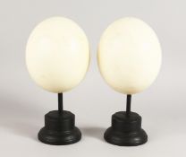 A PAIR OF MOUNTED OSTRICH EGGS. 7ins.