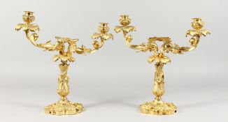 A SUPERB PAIR OF LOUIS XVI ORMOLU TWO-BRANCH CANDLESTICKS, with acanthus and entwined dragons,