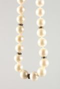 A PEARL NECKLACE, INTERSPERSED WITH SMALL DIAMONDS, with an 18ct white gold clasp. 17ins long.