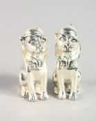 A PAIR OF .800 CLOWN DOG SALT AND PEPPERS.