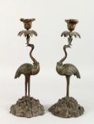 A PAIR OF METAL OSTRICH CANDLESTICKS on rocky bases. 15ins high.