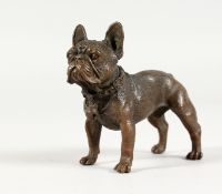 A SMALL BRONZE MODEL OF A BULLDOG. 3ins long.