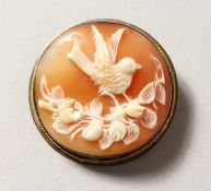 A SILVER CAMEO BRACELET.