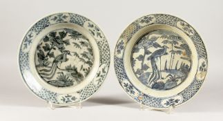 TWO CHINESE WANLI PERIOD BLUE AND WHITE PEACOCK DESIGN PLATES. 11ins diameter.