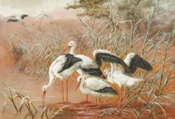 Harry Bright (1846-1895) British, Storks in a landscape, watercolour, signed, 14