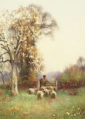 Benjamin Sigmund (1857-1947) British, A Shepherd and his flock beneath blossom, watercolour, signed,