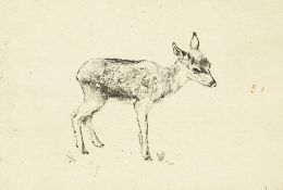 Circle of Detmold, An etching of a fawn, 3