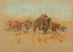 Raymond John Vandenbergh (1889-1960's) British, 'Bison on the Plains', pastel, signed with initials,