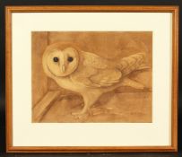 Ralston Gudgeon (1910-1984) British, study of a barn owl, watercolour, signed, 11