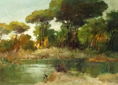20th century Italian school, A scene of stone pines and a lagoon in Southern Italy, oil on canvas,
