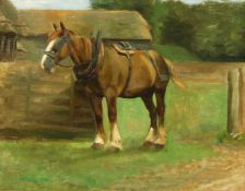 19th/20th Century English school, study of a horse in a farmyard, oil on canvas, 14
