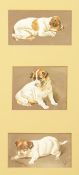Late 19th century British, Three studies of a puppy in various poses, watercolour, initialled 'C. B.
