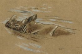 Raymond John Vandenbergh (1889-1960's) British, 'Rhinoceros Having a Swim', pastel, signed with