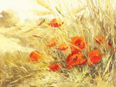 20th century British school, wild poppies amongst wheat, oil on canvas, signed 'Adams', 15