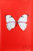 Damien Hirst, (b.1965), 'Untitled (Red Butterfly)', framed print, signed and inscribed 'for Jon love