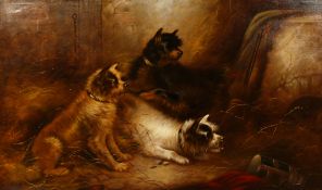 Edward Armfield (1817-1896) British, Three terriers waiting in a barn, oil on canvas, signed, 30
