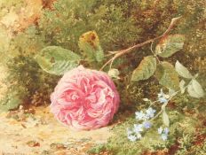 Harrold Sutton Palmer (1854-1933) British, A study of a rose in bloom in a naturalistic setting,