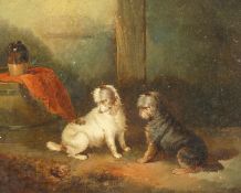 George Armfield (1808-1893) British, An interior scene with two alert terriers ratting, oil on