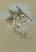 Raymond John Vandenbergh (1889-1960's) British, 'A Portrait of a Coyote', Pastel, signed, 10